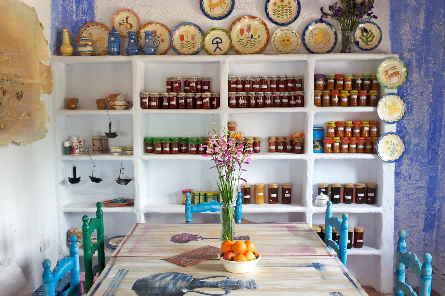 Cocina y comedor común · Aloe Vera