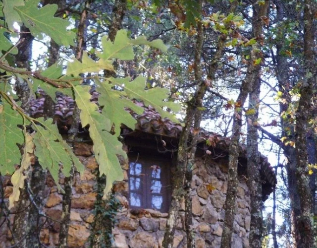 Imagen de Cabañas Casa Crisol