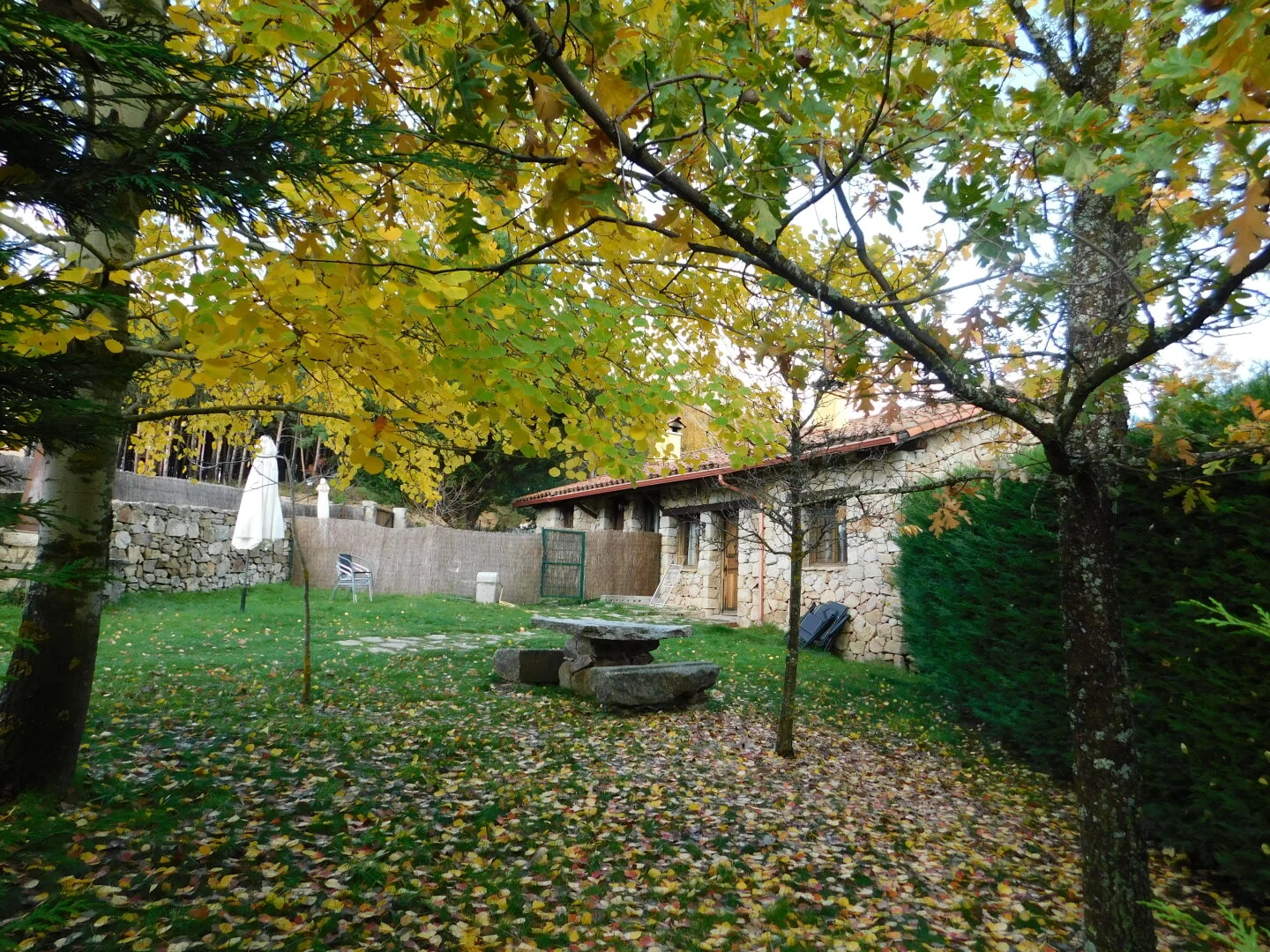 Jardín · Cimera y Brincalobitos