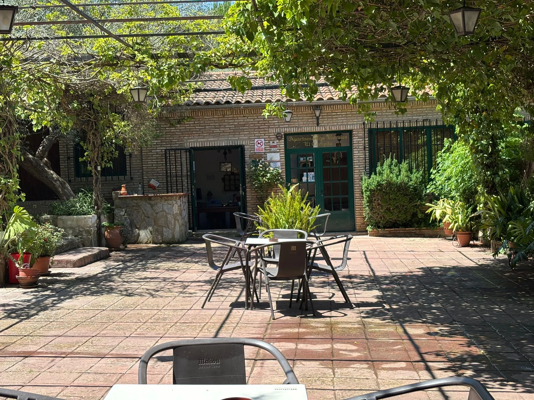 Jardín y terraza · El Campito
