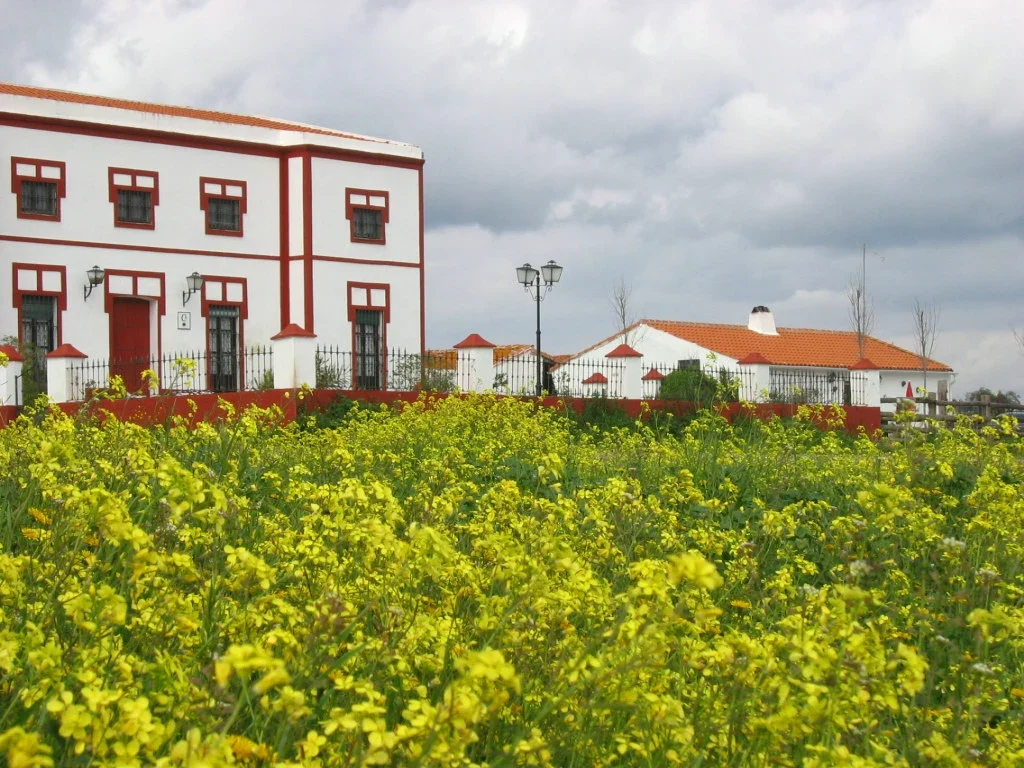 Finca Los Llanos · Entorno de Zafra
