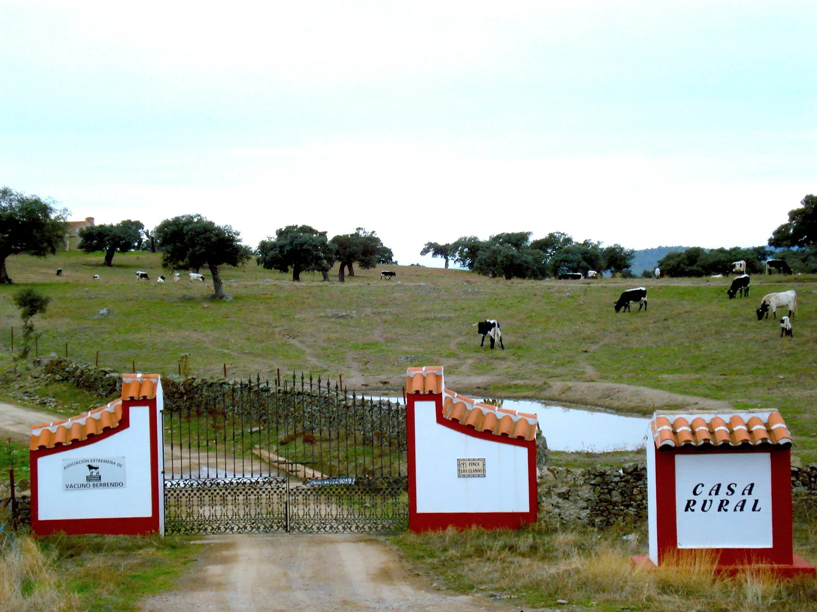 Finca Los Llanos · Entorno de Zafra