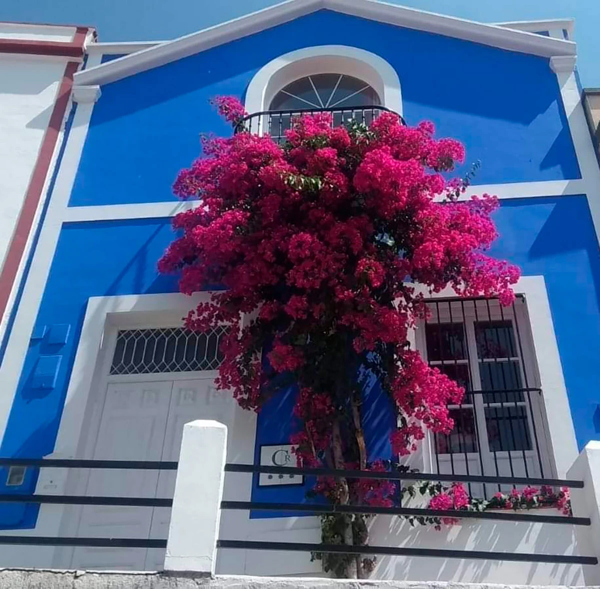 Imagen de La Casa Azul