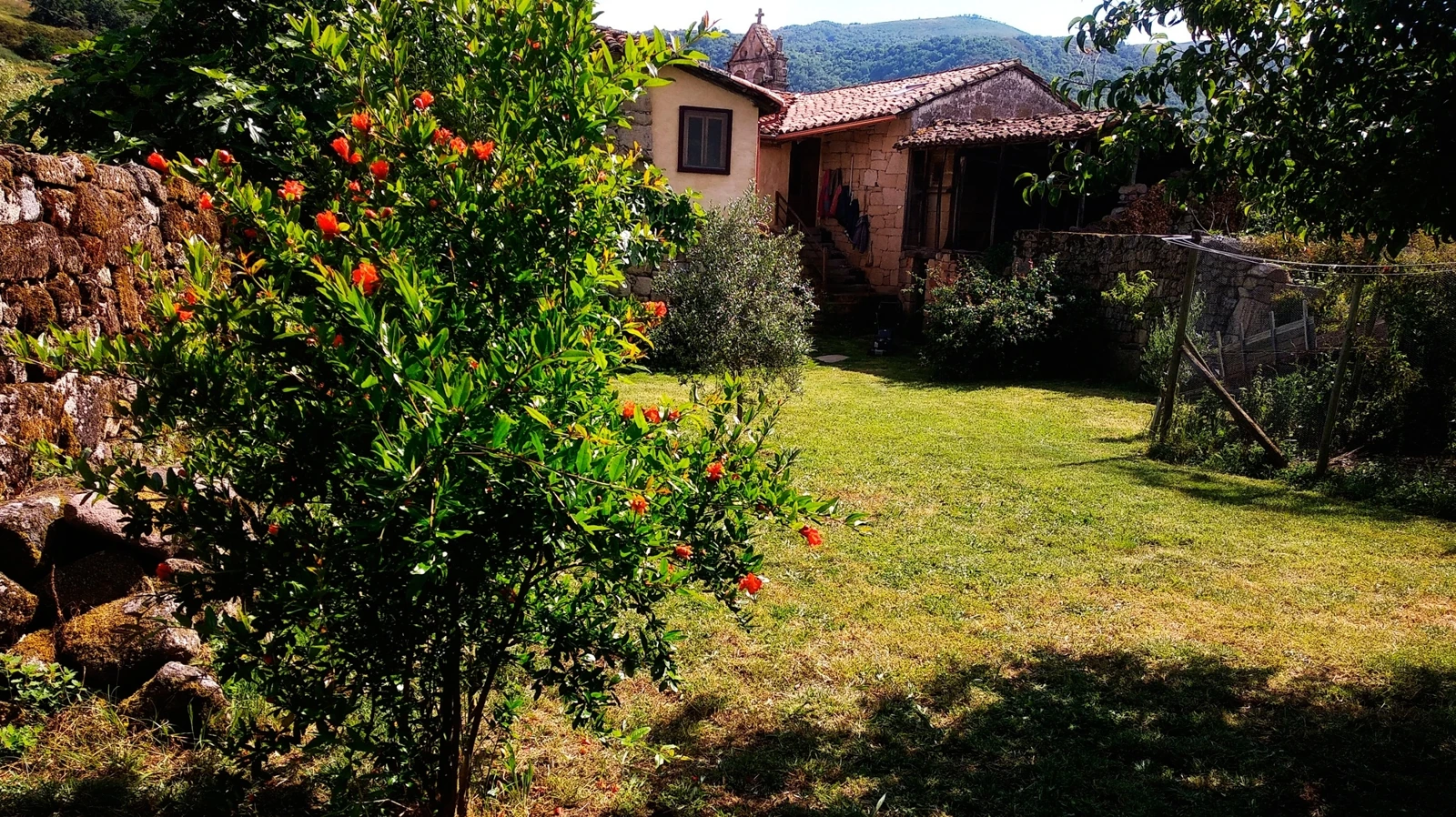 Jardín de la casa · Reitoral de Chandrexa