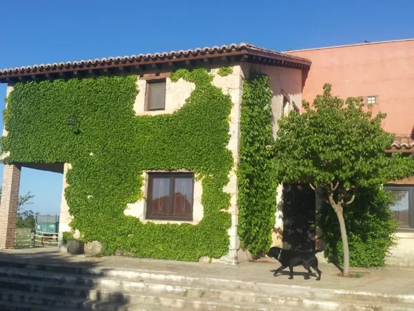 Imagen de Casas Rurales Cinco Celemines