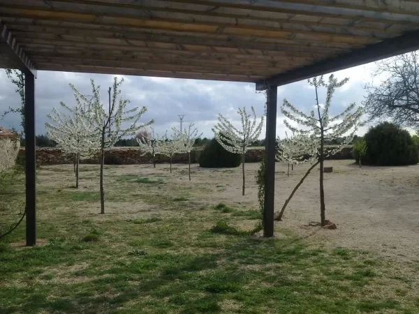 Porche y jardín · Casas Rurales Cinco Celemines