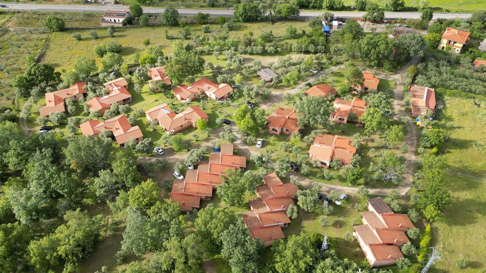 Vista aérea de las casitas de Aldea Vetonia entre olivos · Aldea Vetonia