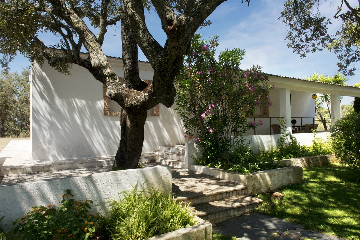 La Serena: exterior con porche y olivo · Dehesa Tres Riveros