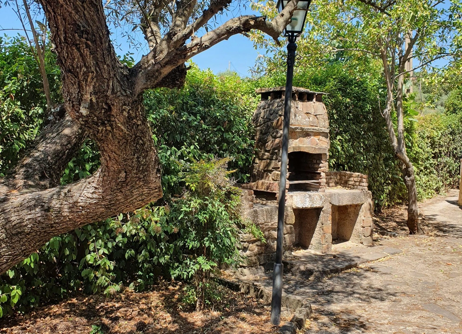 Zona de barbacoa compartida · El Jiniebro Turismo Rural