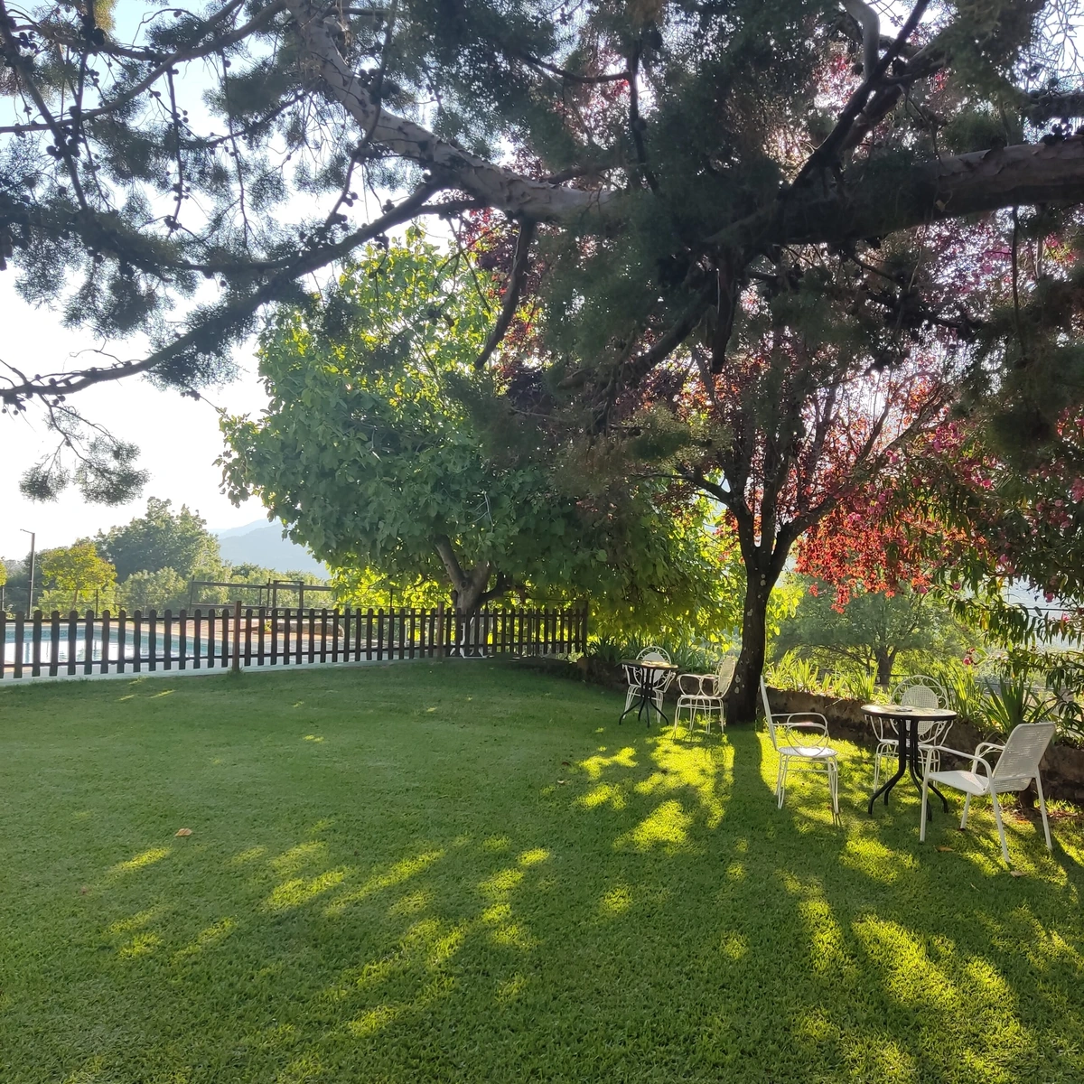 Jardín de La Casería bajo los árboles · Casas Rurales La Casería