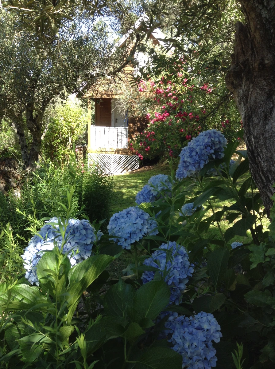 Las Cabañas de Mestas: jardín con flores · Las Cabañas de Mestas