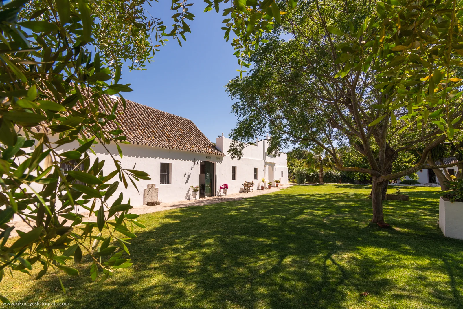 Imagen de Cortijo El Indiviso