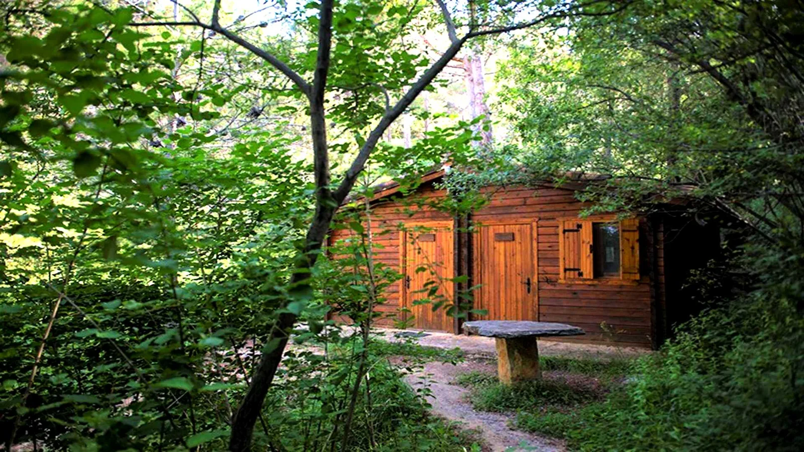 Cabaña entre los árboles · El Mas de Borràs