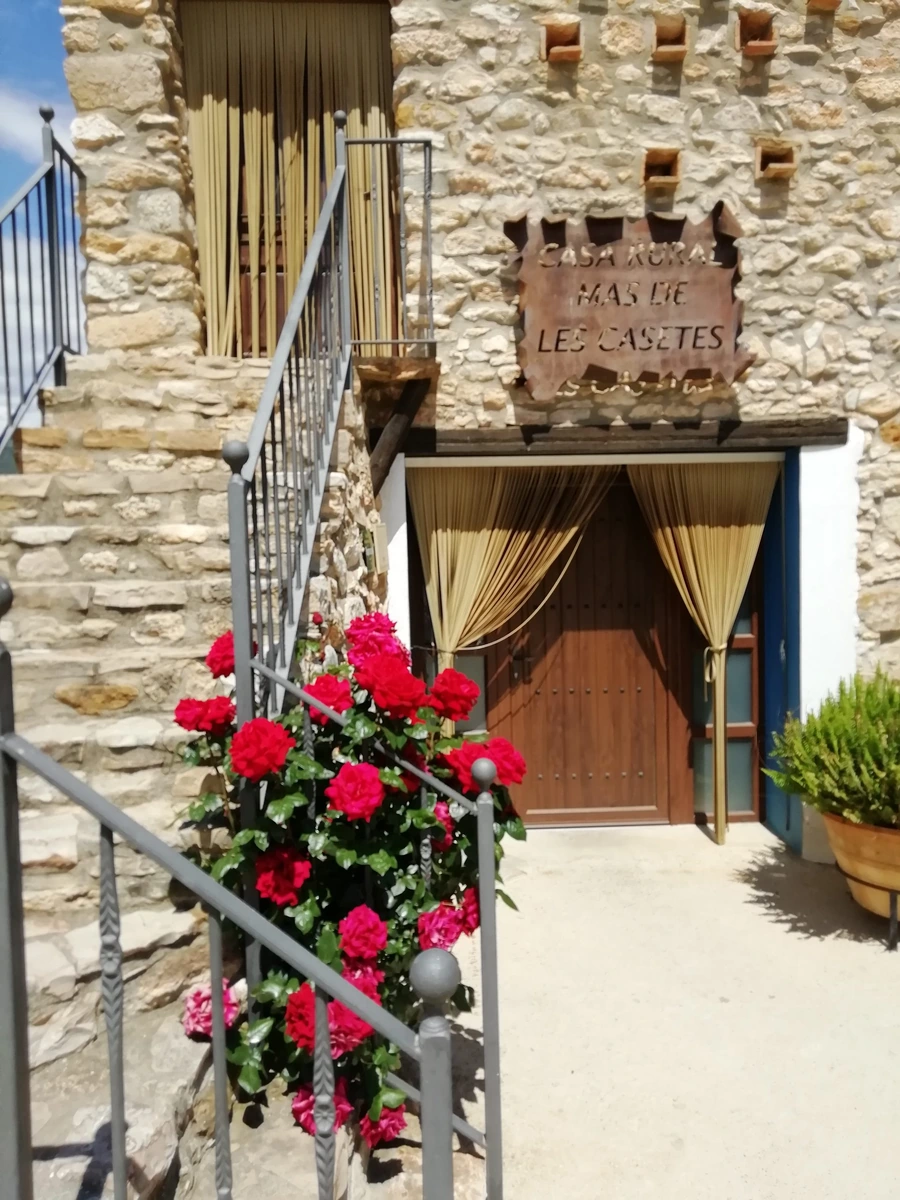 Acceso por escalera exterior junto a la fachada de piedra · Mas de les Casetes