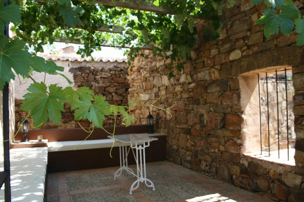 Pérgola con vegetación en el patio de La Posada del Corralón