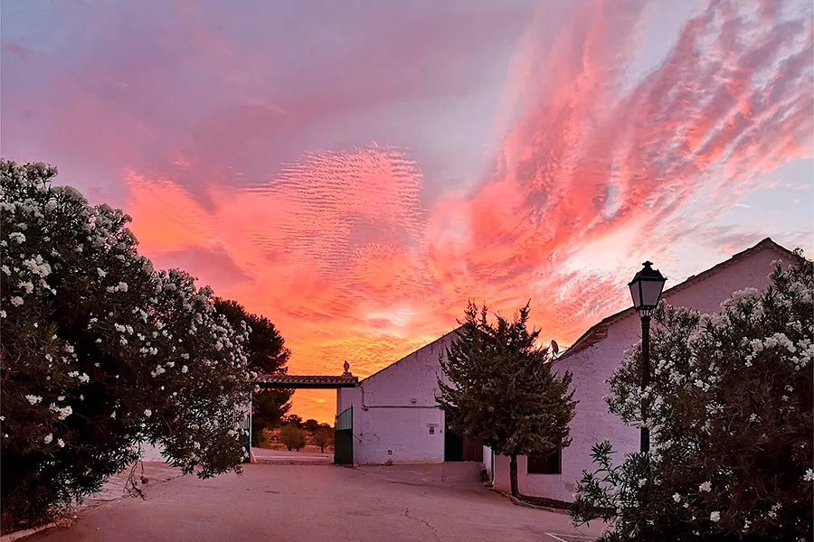 Entrada de la finca al atardecer en Finca Los Cerrillos, Argamasilla de Alba.