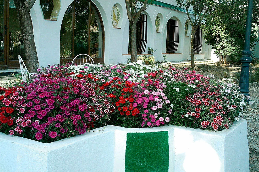 Jardín y galería en Finca Los Cerrillos, Argamasilla de Alba.