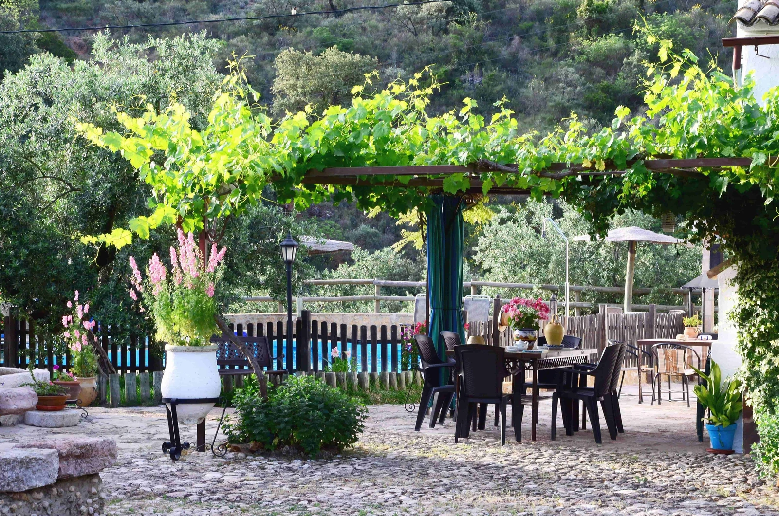 Patio con pérgola de parra, mesa y sillas junto al cortijo. · Cortijo Palitroques