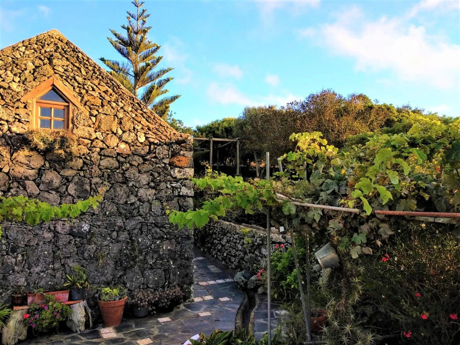 Imagen de Casa Rural Casa & Monte