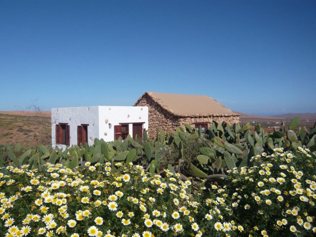 Casa de la Burra rodeada de tuneras y vegetación