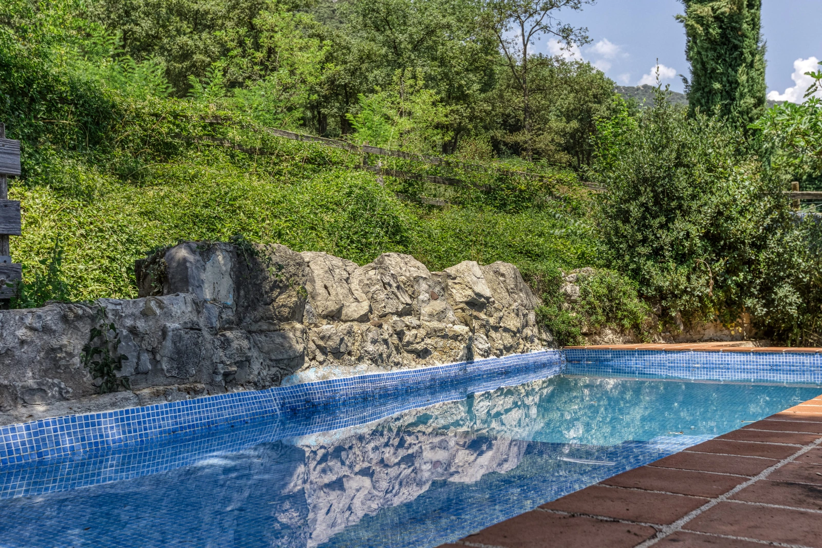 Piscina exterior rodeada de vegetación y muro de piedra. · Can Pei