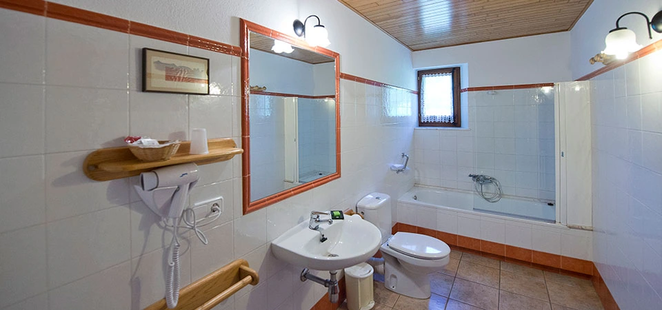 Masía: baño de la categoría familiar · El Ferrés