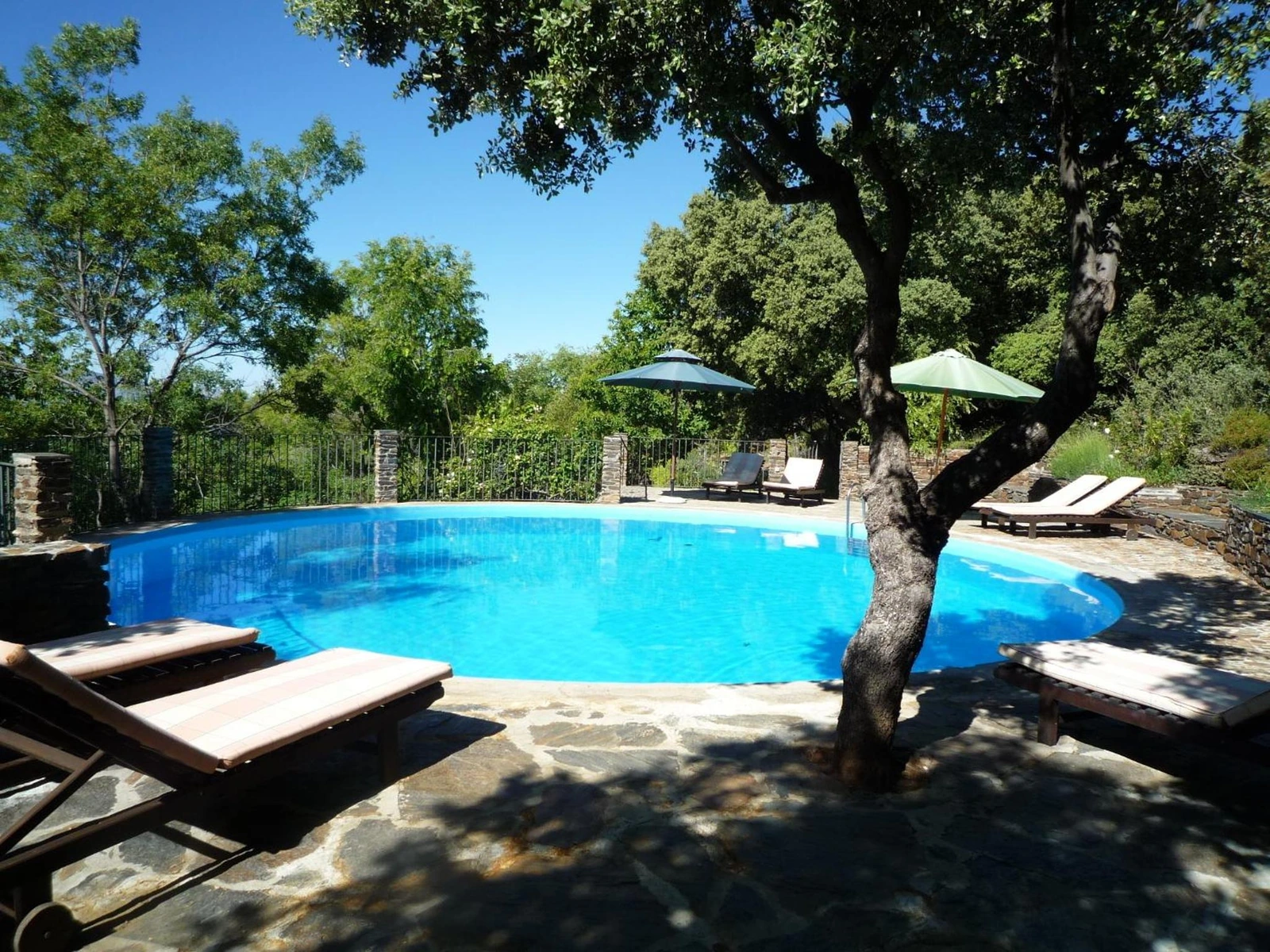 Imagen de Cortijo Prado Toro