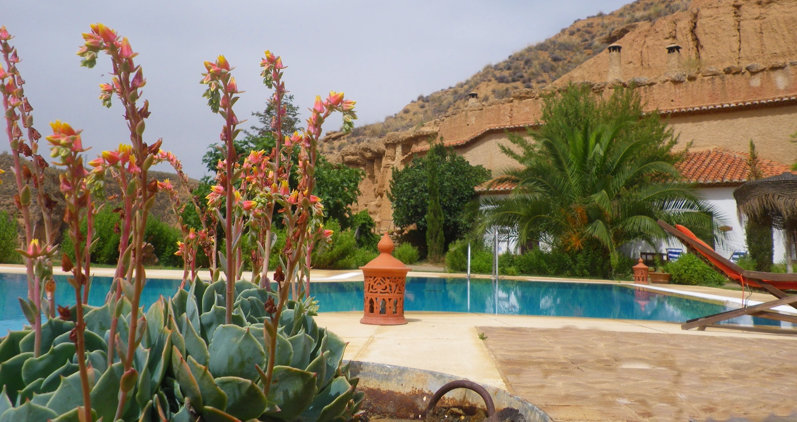 Jardín y piscina compartida de Almagruz. · Cuevas Almagruz