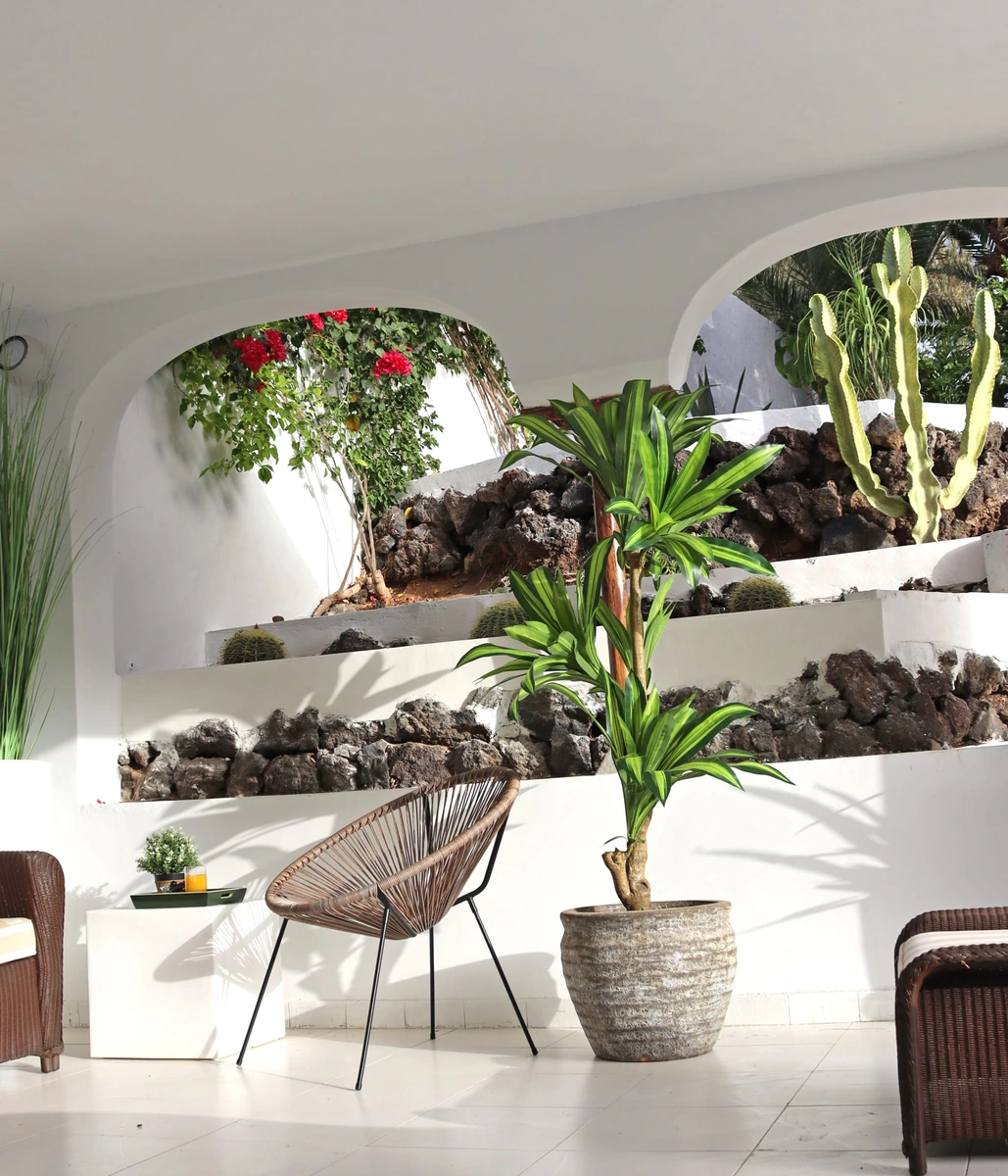 Terraza cubierta del cortijo con plantas y sillones · Cortijo San Ignacio