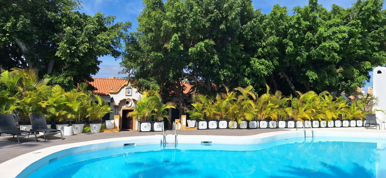Piscina curva y tumbonas del cortijo · Cortijo San Ignacio