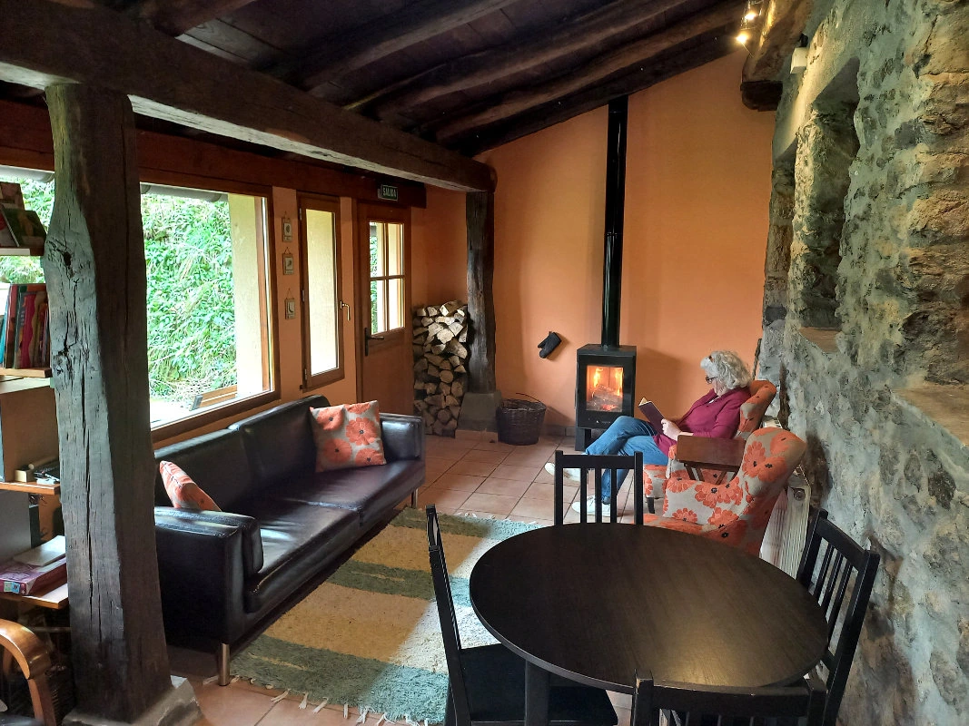 Sala de estar compartida del alojamiento por habitaciones, con estufa de leña y ventanales. · Goikola