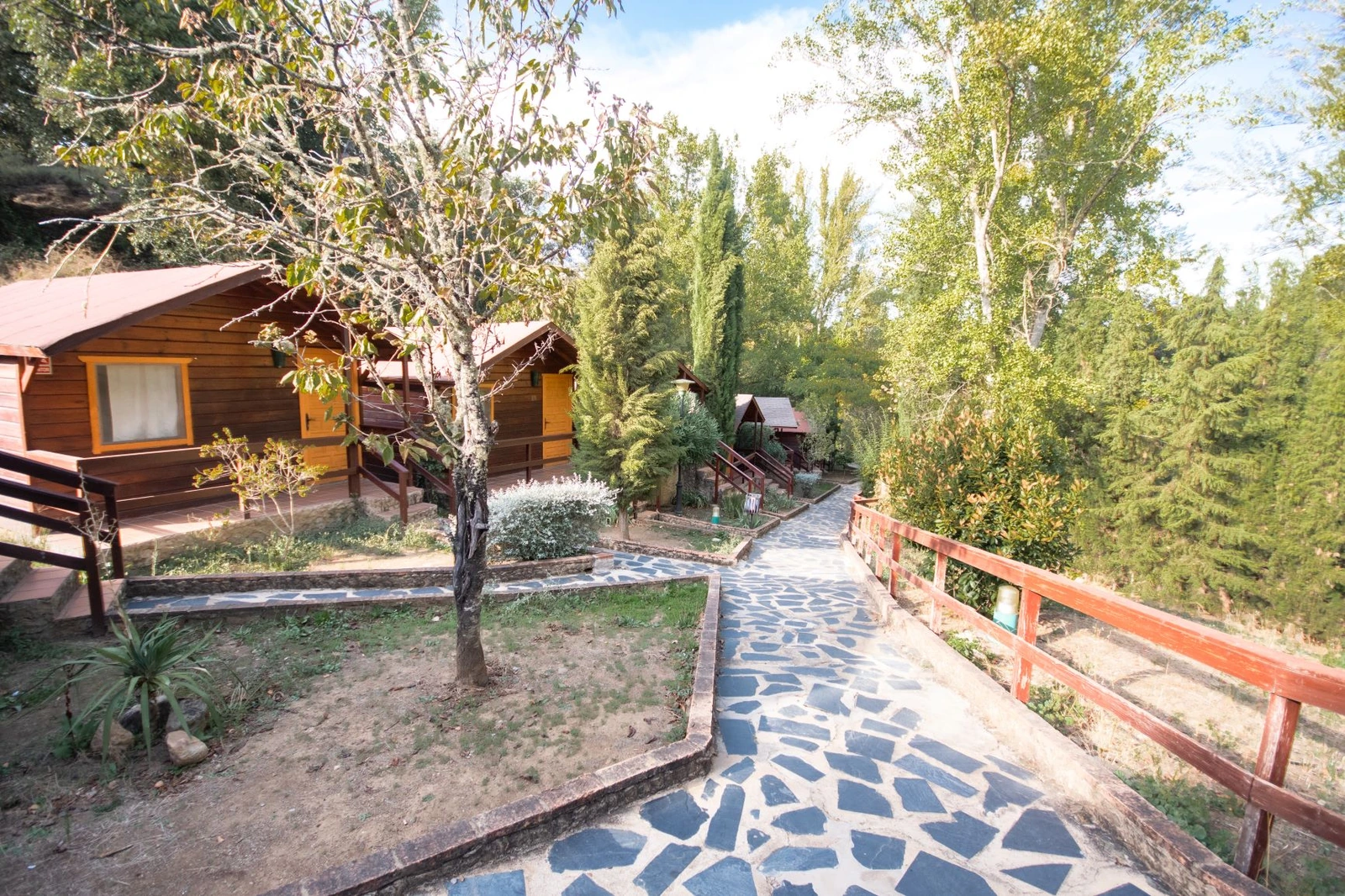Paseo arbolado entre las cabañas de Posada de Cortegana · Posada de Cortegana