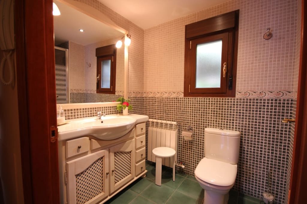 Baño del apartamento A1