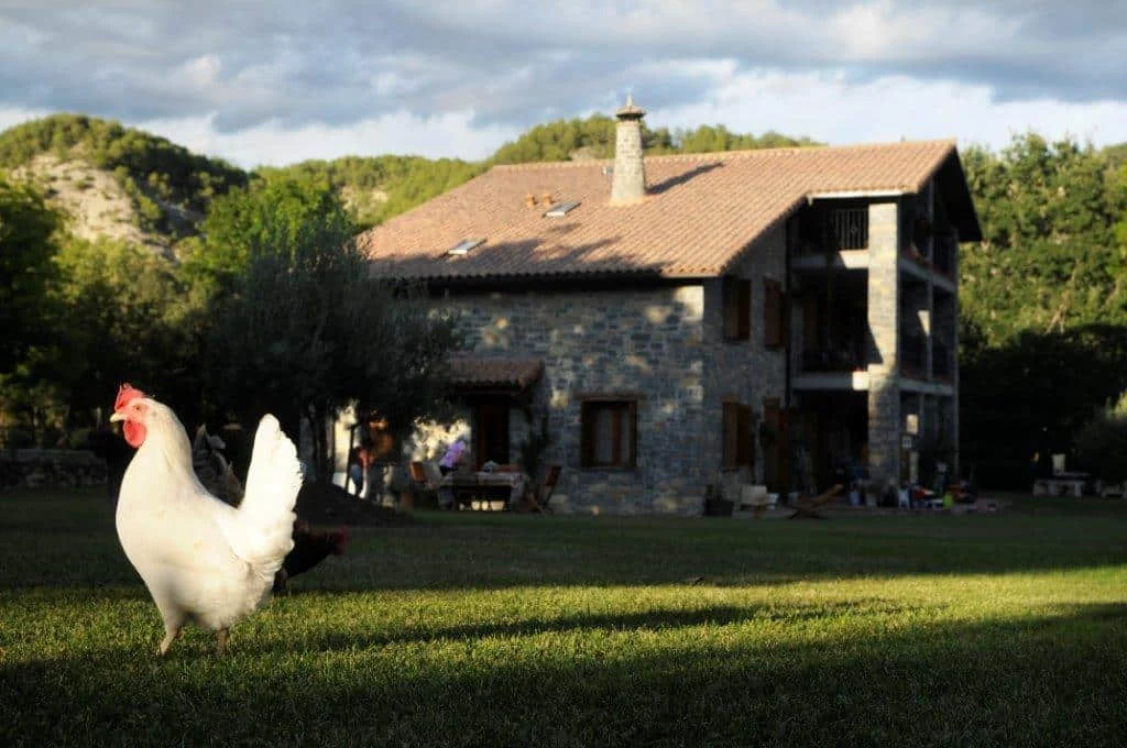 Casa Campacruz en su pradera, con vegetación alrededor