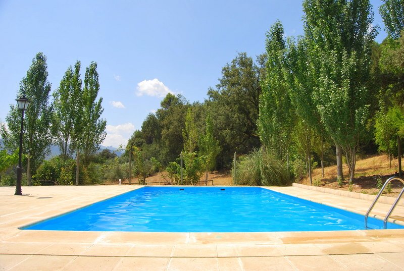 Piscina y zona arbolada de Cortijo La Besana
