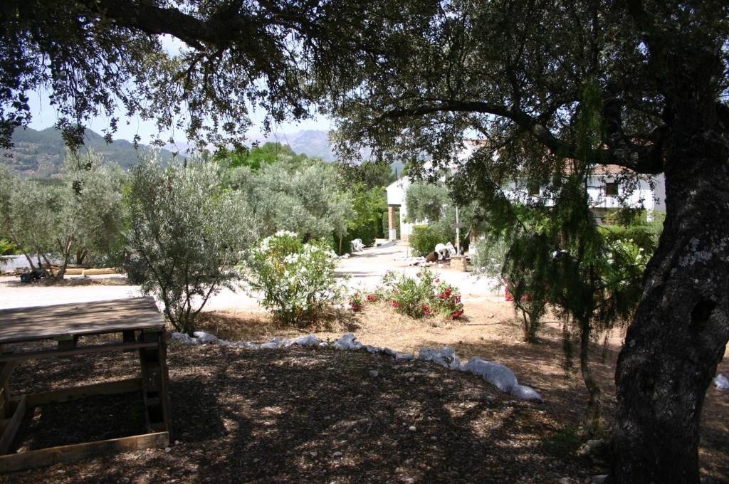 Casas rurales La Loma del Carrascal entre árboles