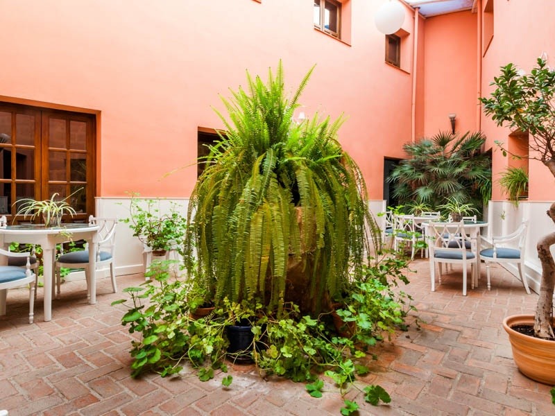 Patio ajardinado del Hotel Palacio Las Manillas