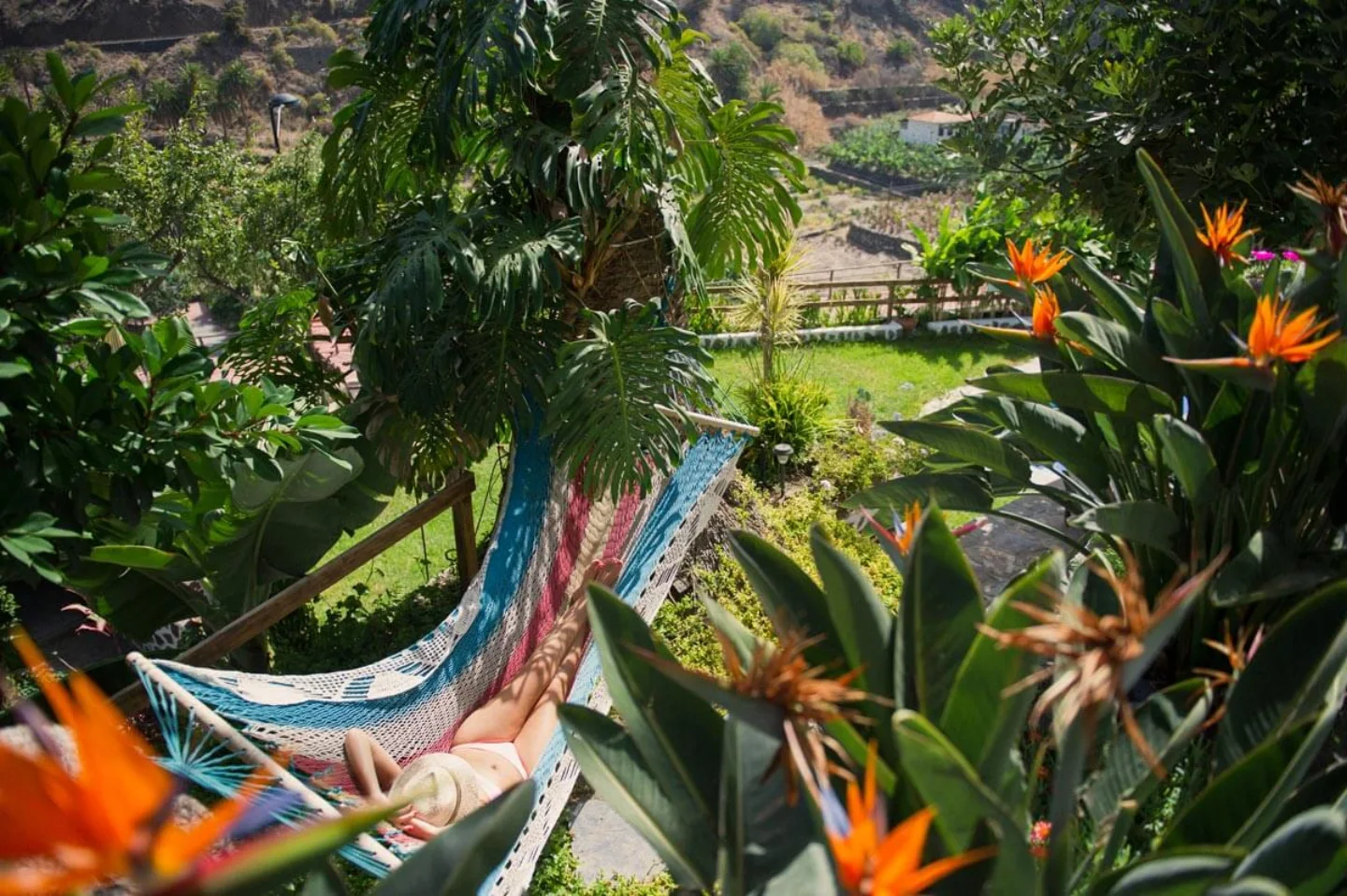 Jardín y zona de hamacas de Apartamentos Los Telares