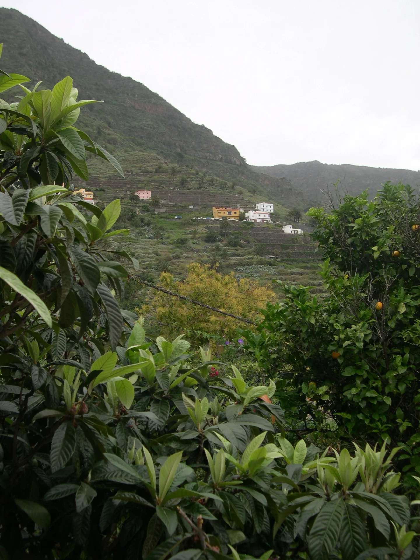 Jardín de una Casa Rural Fraile con vistas al valle de Hermigua