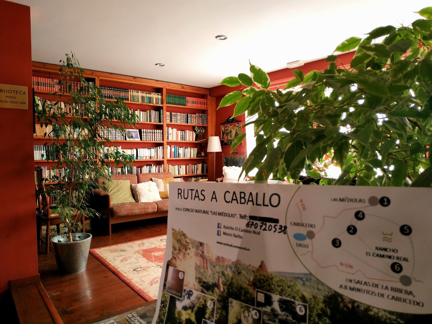 Biblioteca del Hotel La Peregrina