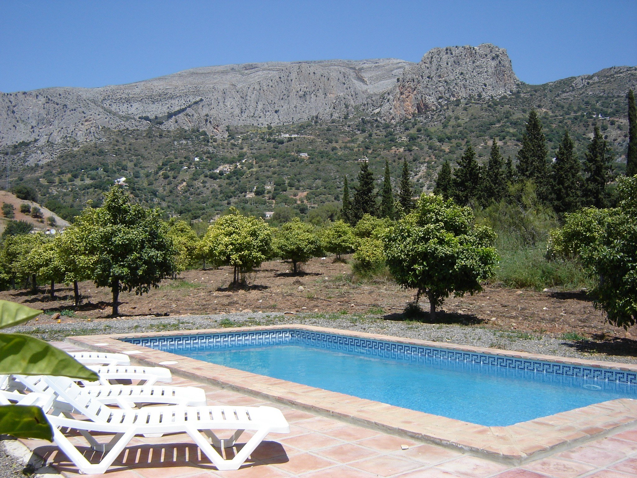 Piscina del Cortijo Don Rodrigo