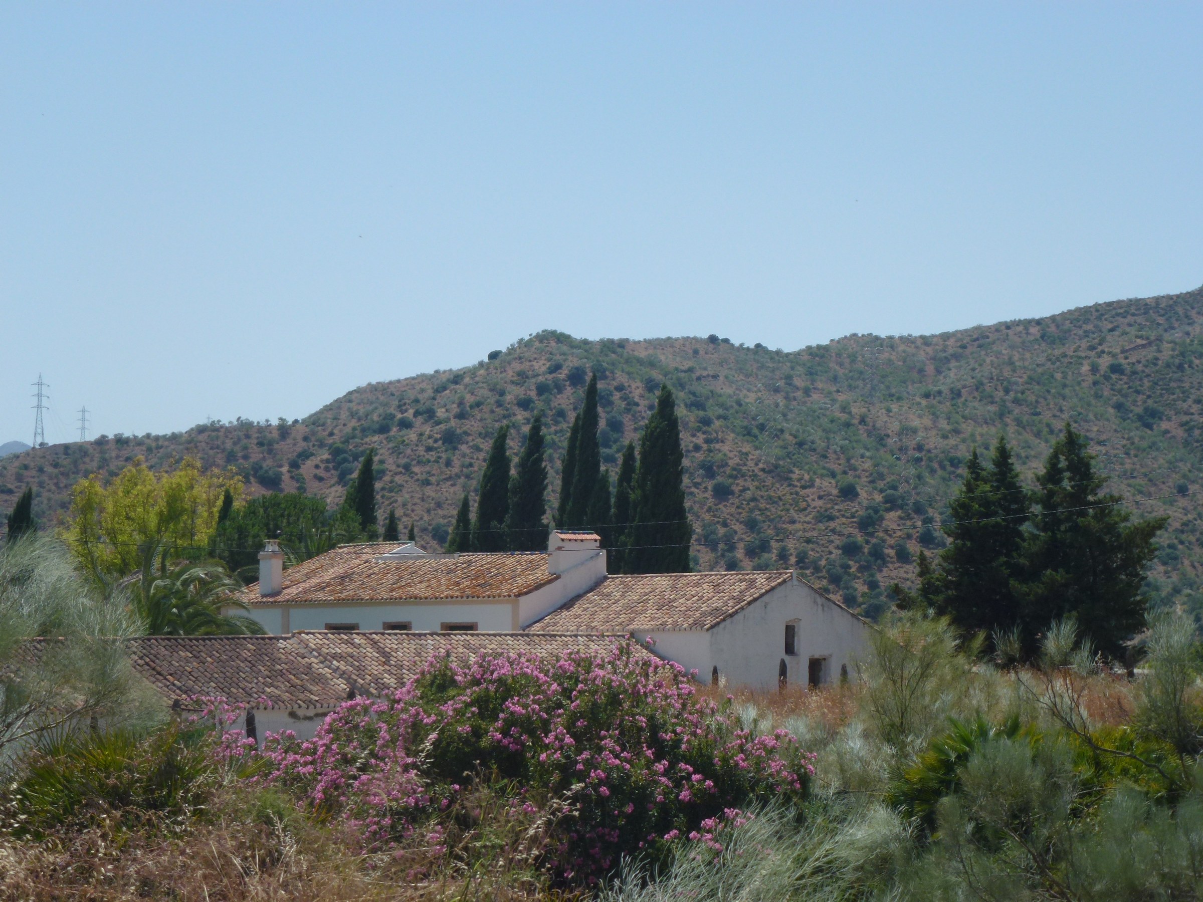 Cortijo Don Rodrigo entre los montes