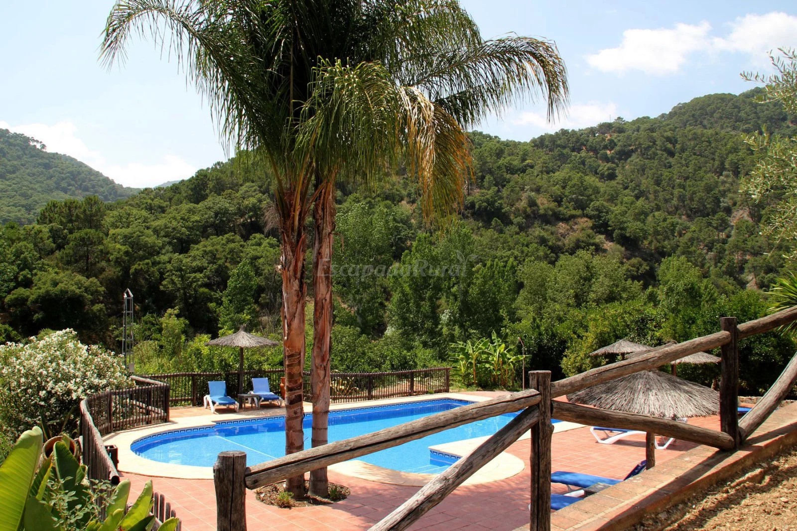 Piscina y entorno de El Manantial
