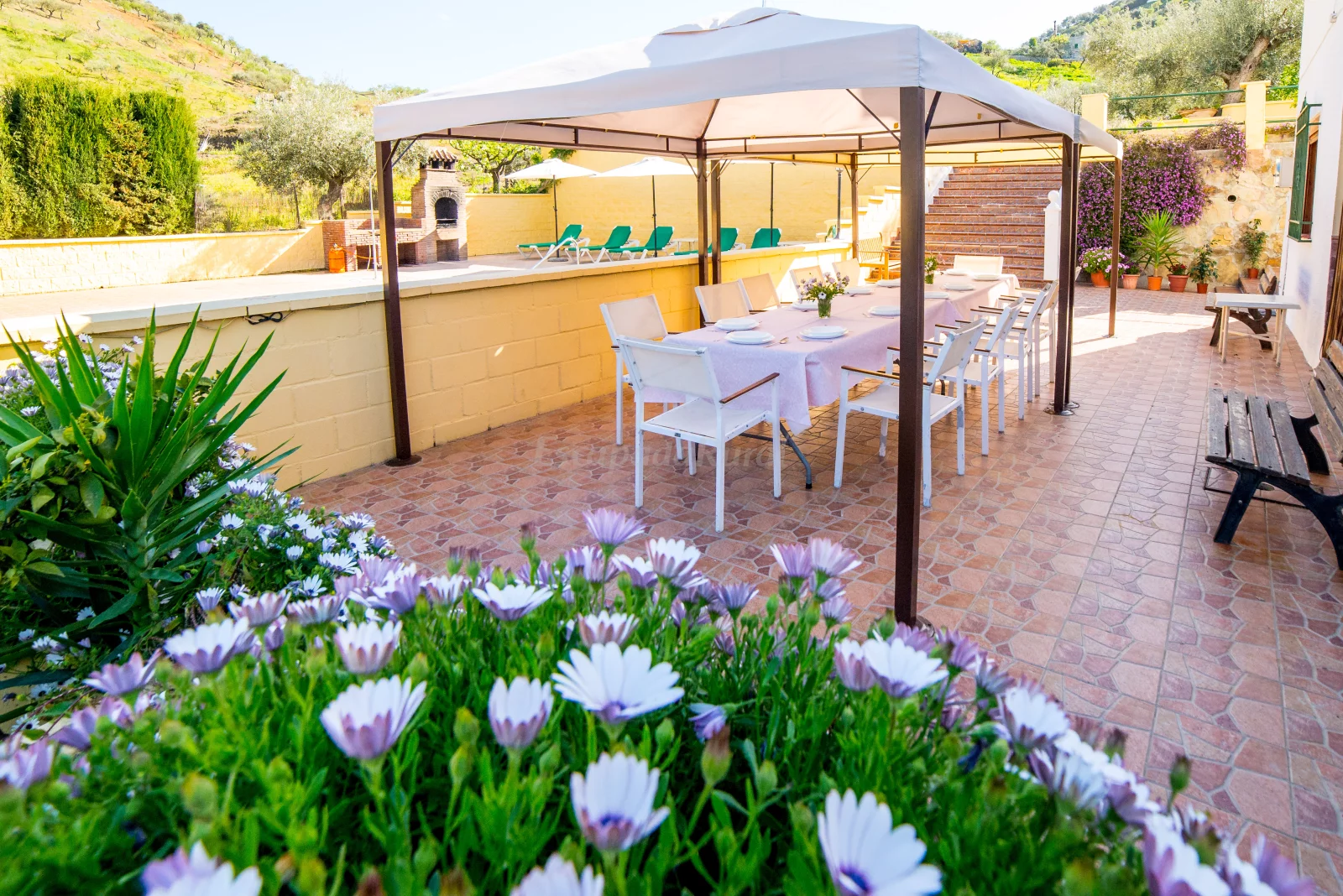 Terraza exterior de Las Dehesas