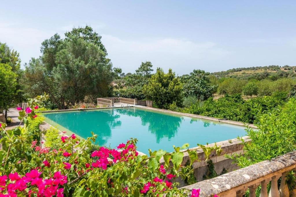 Piscina y jardín de Es Rafalet