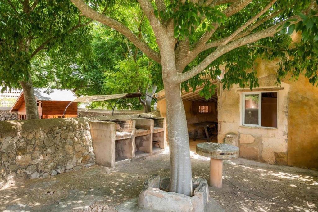 Casa con patio arbolado de Es Rafalet