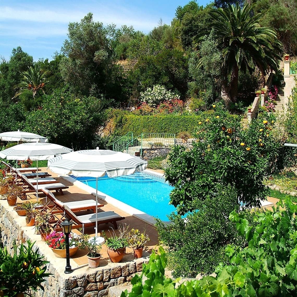 Piscina y jardín de Sa Màniga