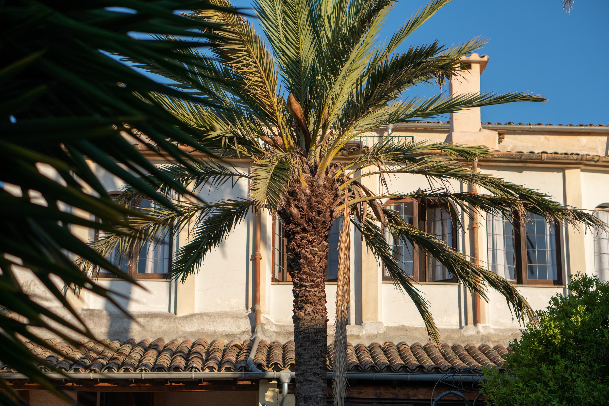 Villa León de Sineu