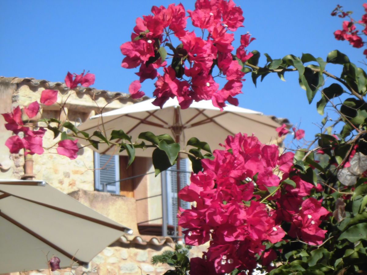 Jardín y fachada con buganvilla