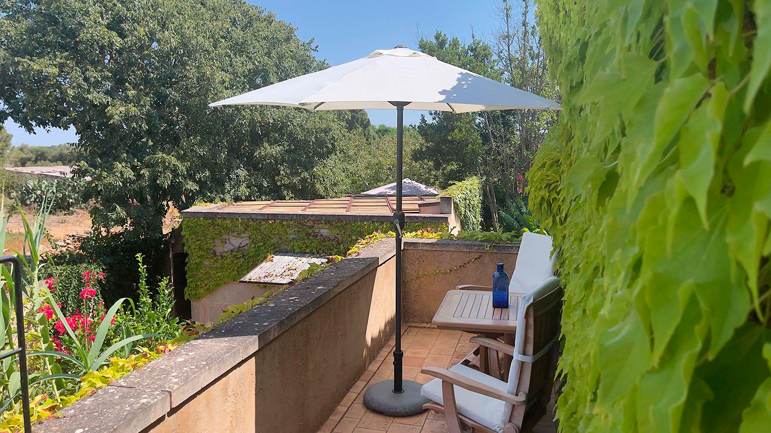 Terraza rodeada de vegetación